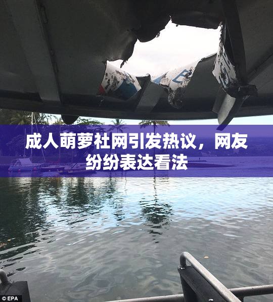 成人萌萝社网引发热议，网友纷纷表达看法