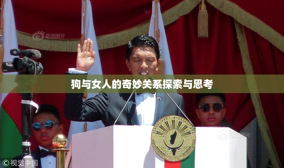 狗与女人的奇妙关系探索与思考