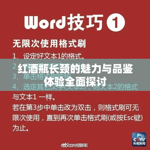 红酒瓶长颈的魅力与品鉴体验全面探讨