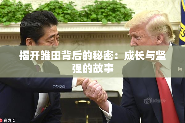 揭开雏田背后的秘密：成长与坚强的故事