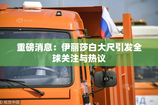 重磅消息：伊丽莎白大尺引发全球关注与热议