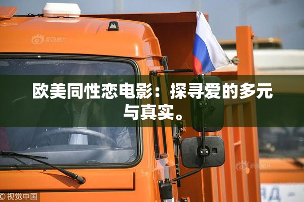 欧美同性恋电影：探寻爱的多元与真实。