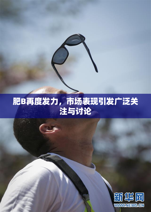 肥B再度发力，市场表现引发广泛关注与讨论