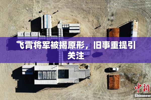 飞霄将军被揭原形，旧事重提引关注