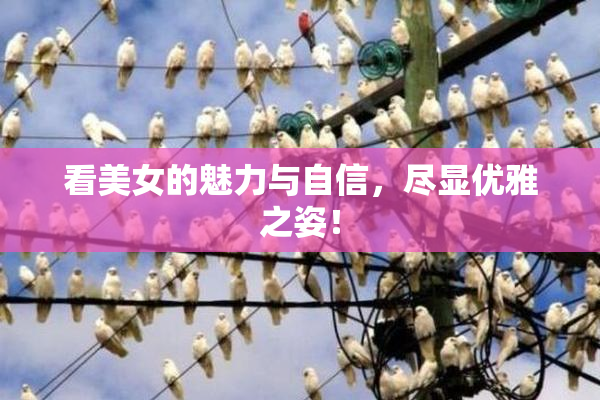 看美女的魅力与自信，尽显优雅之姿！