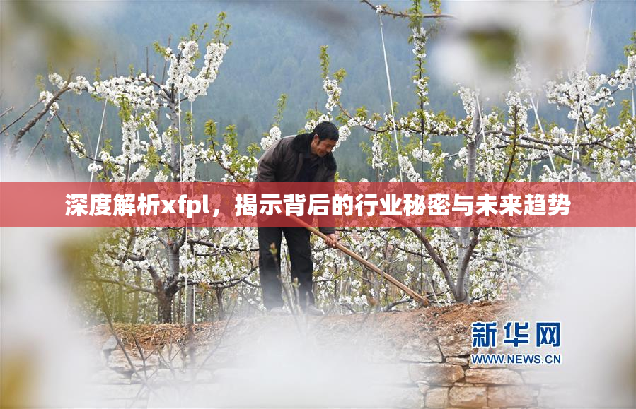深度解析xfpl，揭示背后的行业秘密与未来趋势