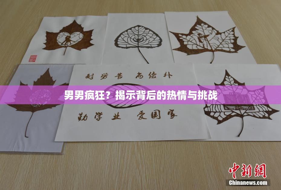 男男疯狂？揭示背后的热情与挑战