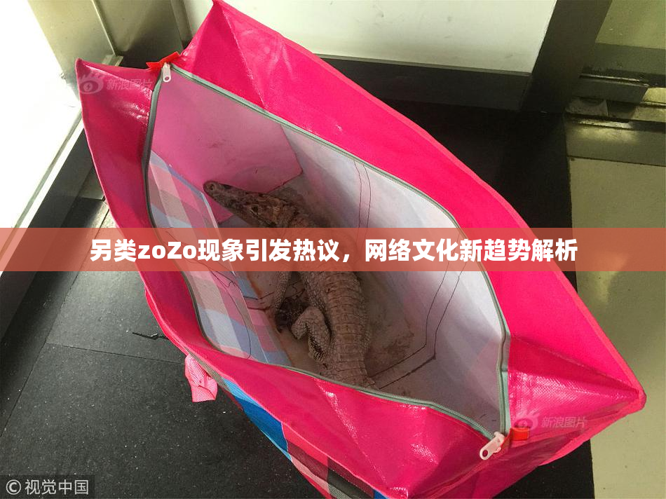 另类zoZo现象引发热议，网络文化新趋势解析