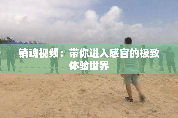 销魂视频：带你进入感官的极致体验世界