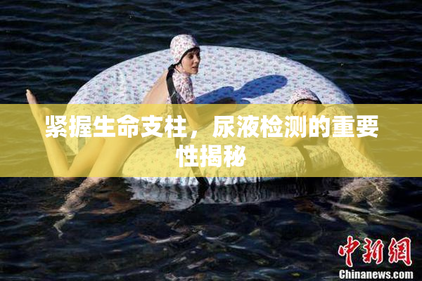 紧握生命支柱，尿液检测的重要性揭秘