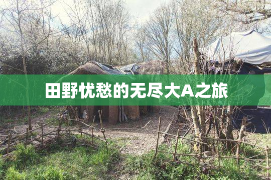田野忧愁的无尽大A之旅