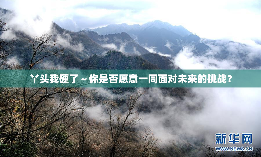 丫头我硬了～你是否愿意一同面对未来的挑战？