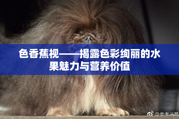 色香蕉视——揭露色彩绚丽的水果魅力与营养价值