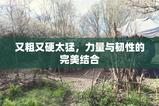 又粗又硬太猛，力量与韧性的完美结合