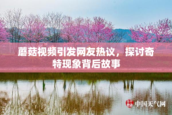 蘑菇视频引发网友热议，探讨奇特现象背后故事