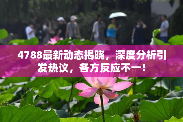 4788最新动态揭晓，深度分析引发热议，各方反应不一！