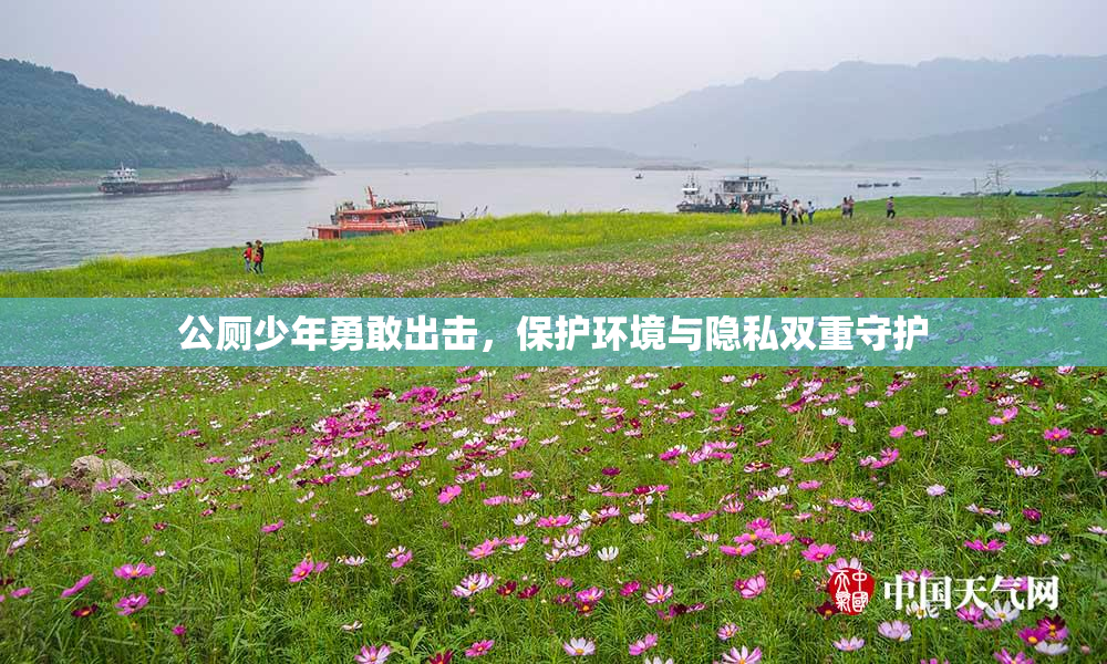公厕少年勇敢出击，保护环境与隐私双重守护