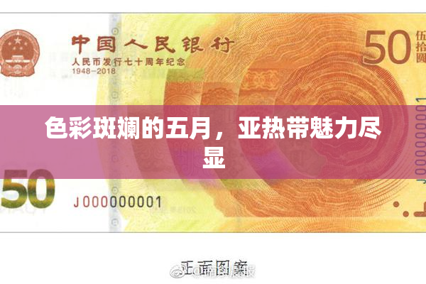 色彩斑斓的五月，亚热带魅力尽显
