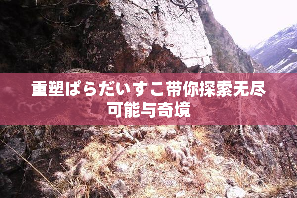 重塑ぱらだいすこ带你探索无尽可能与奇境
