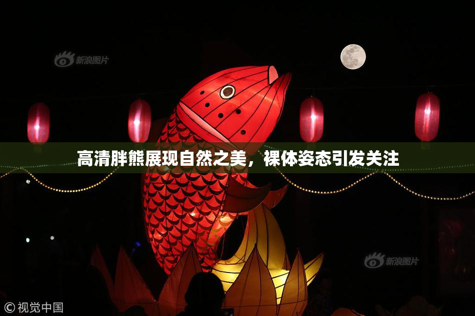 高清胖熊展现自然之美，裸体姿态引发关注