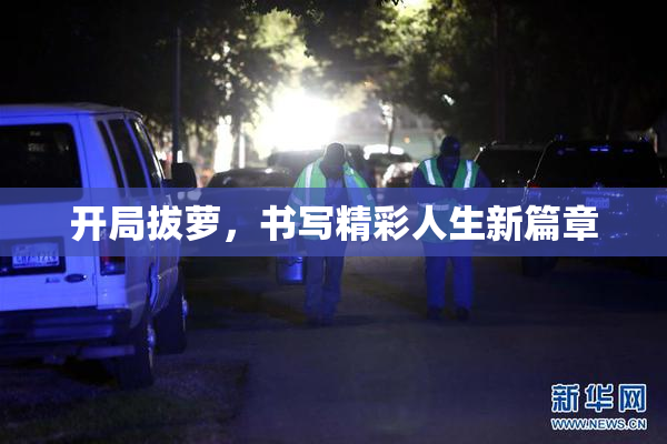 开局拔萝，书写精彩人生新篇章