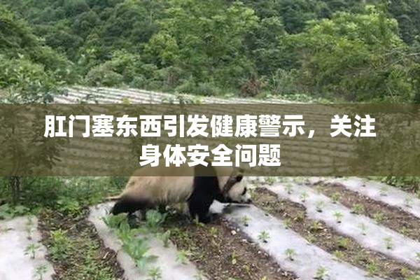 肛门塞东西引发健康警示，关注身体安全问题