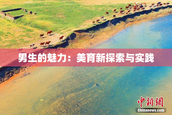 男生的魅力：美育新探索与实践