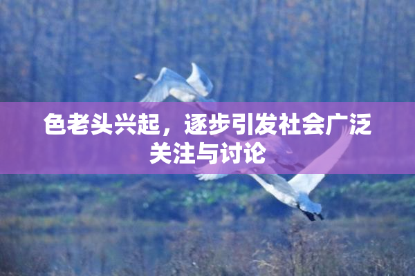 色老头兴起，逐步引发社会广泛关注与讨论
