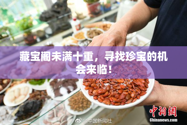 藏宝阁未满十重，寻找珍宝的机会来临！
