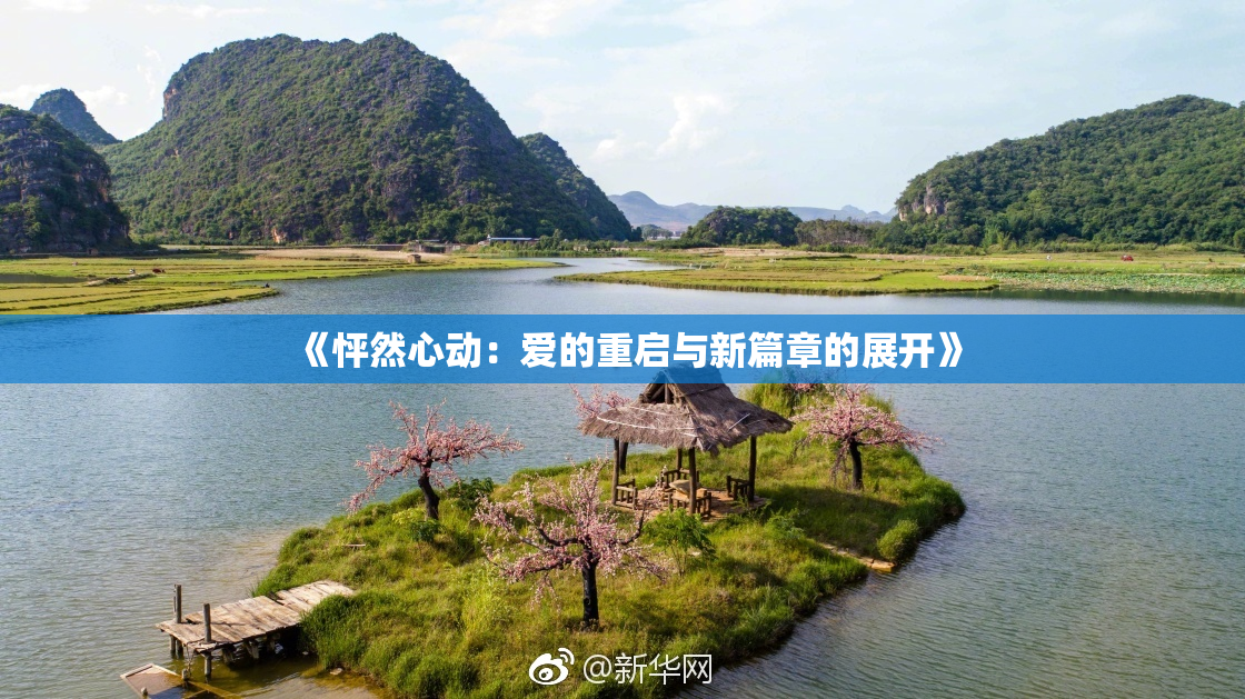 《怦然心动：爱的重启与新篇章的展开》