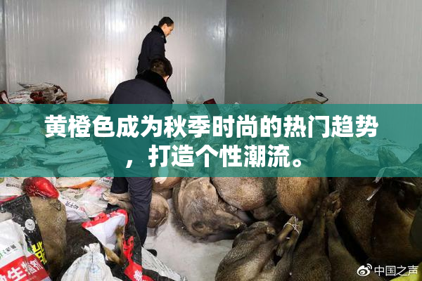 黄橙色成为秋季时尚的热门趋势，打造个性潮流。