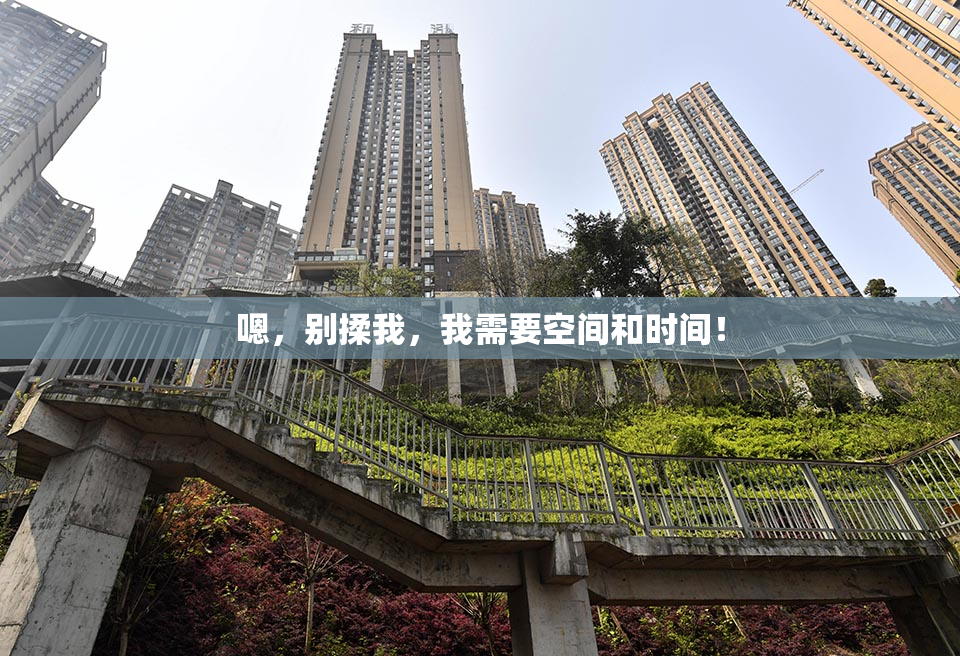 嗯，别揉我，我需要空间和时间！
