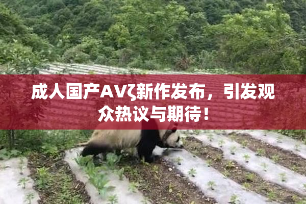 成人国产AVζ新作发布，引发观众热议与期待！