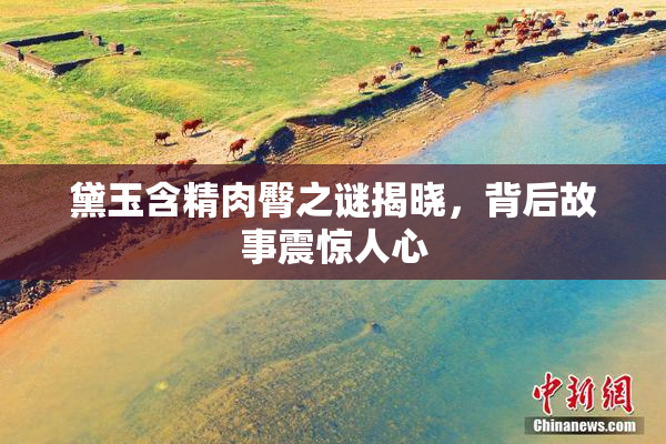 黛玉含精肉臀之谜揭晓，背后故事震惊人心