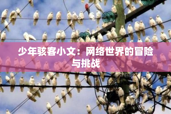 少年骇客小文：网络世界的冒险与挑战