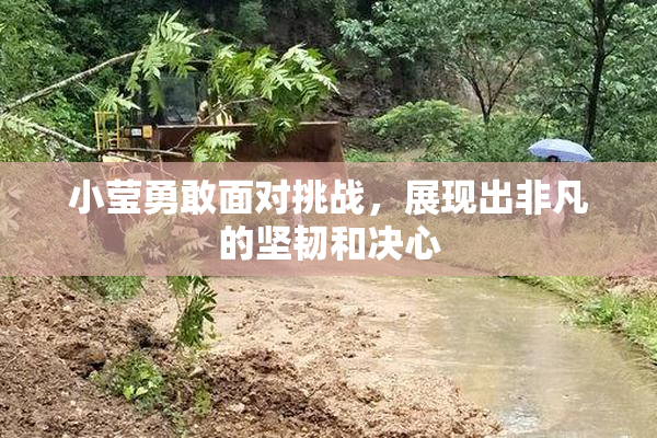 小莹勇敢面对挑战，展现出非凡的坚韧和决心