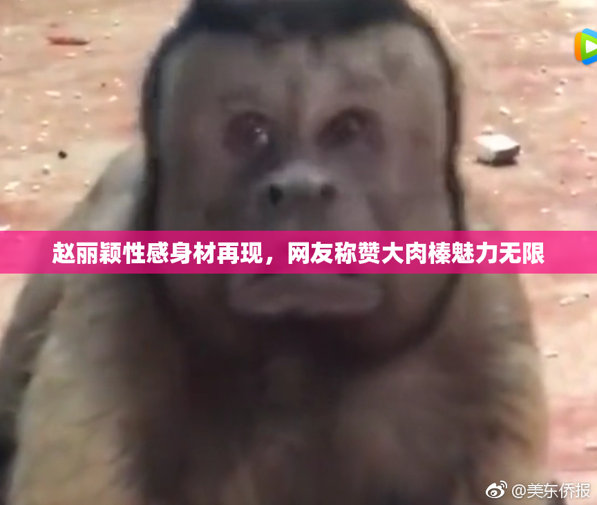 赵丽颖性感身材再现，网友称赞大肉榛魅力无限