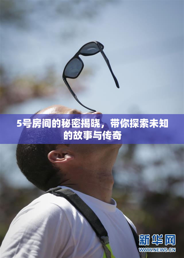 5号房间的秘密揭晓，带你探索未知的故事与传奇