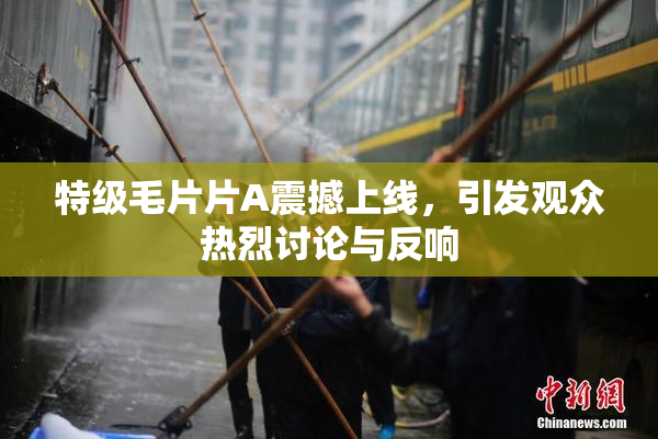 特级毛片片A震撼上线，引发观众热烈讨论与反响