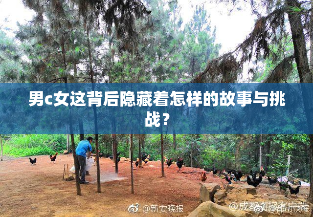男c女这背后隐藏着怎样的故事与挑战？