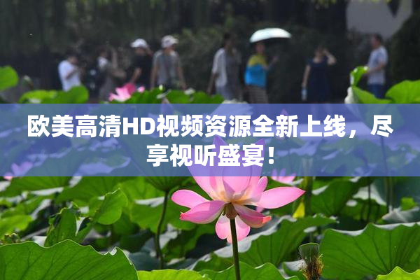 欧美高清HD视频资源全新上线，尽享视听盛宴！