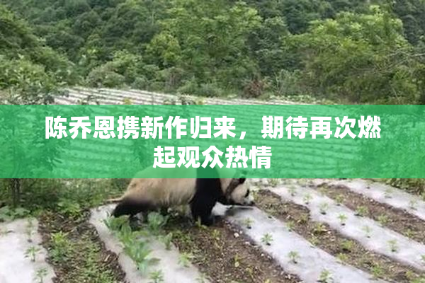 陈乔恩携新作归来，期待再次燃起观众热情