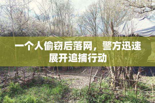 一个人偷窃后落网，警方迅速展开追捕行动