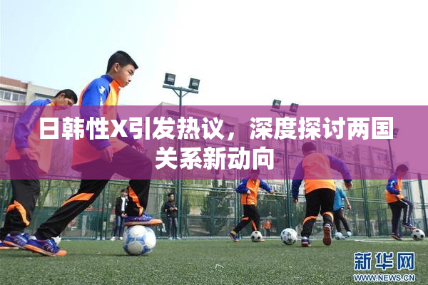 日韩性X引发热议，深度探讨两国关系新动向