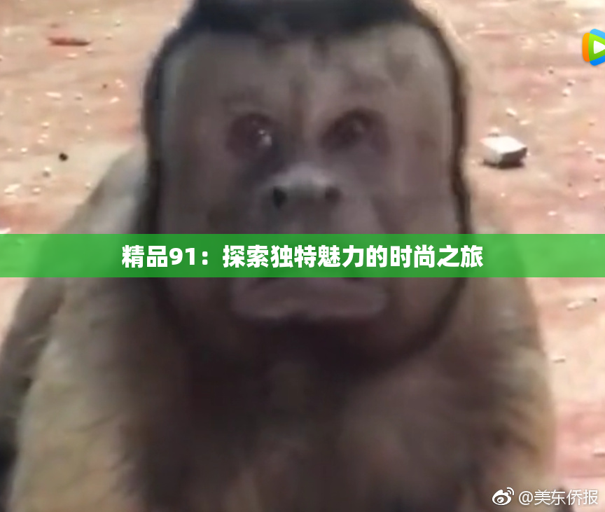 精品91：探索独特魅力的时尚之旅