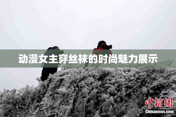 动漫女主穿丝袜的时尚魅力展示