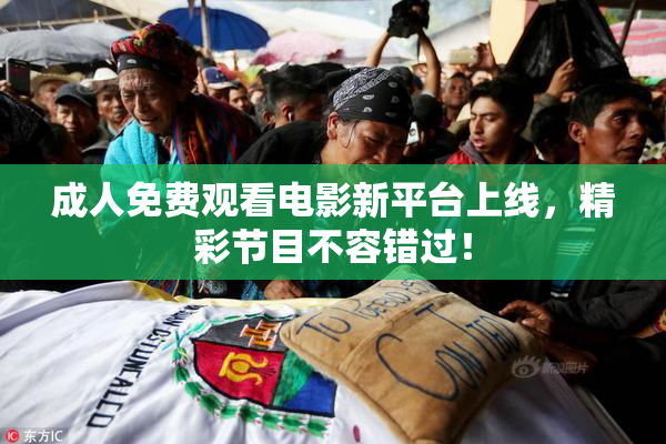成人免费观看电影新平台上线，精彩节目不容错过！