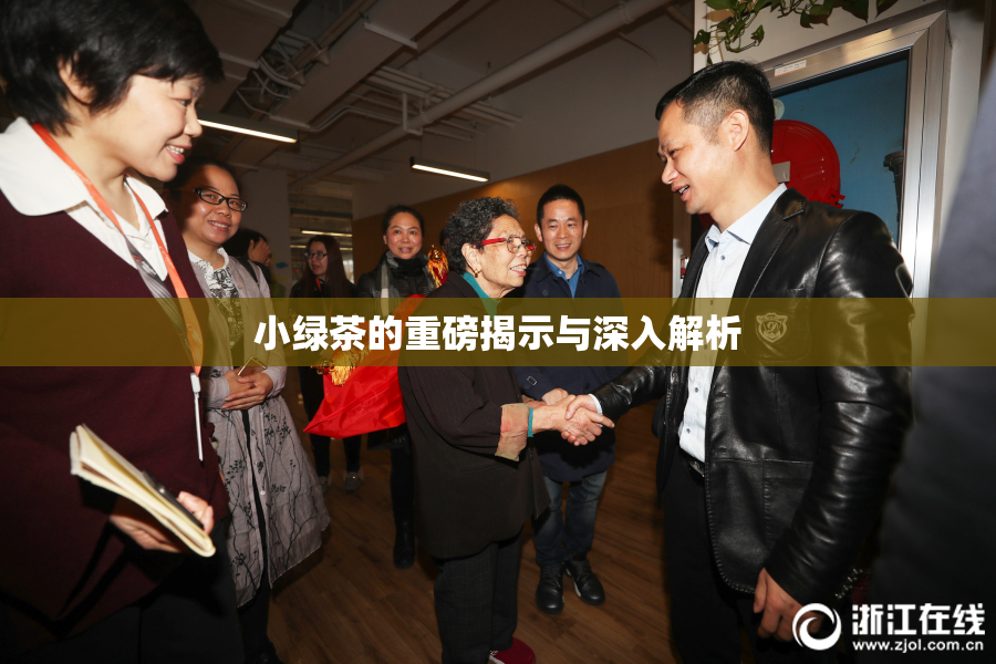 小绿茶的重磅揭示与深入解析
