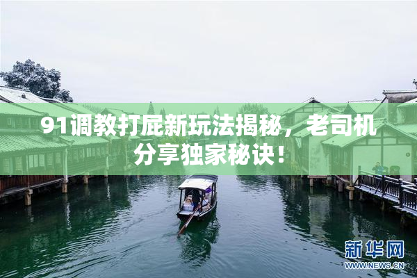 91调教打屁新玩法揭秘，老司机分享独家秘诀！