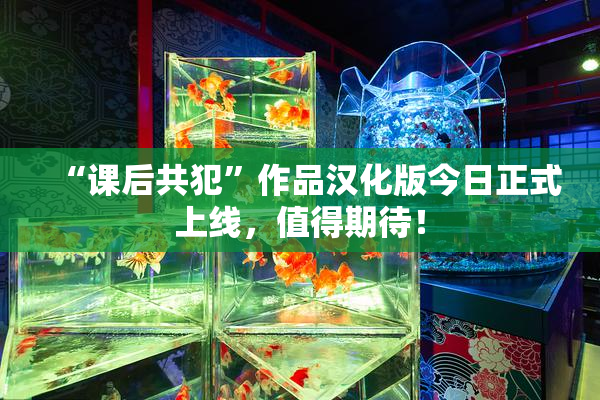 “课后共犯”作品汉化版今日正式上线，值得期待！